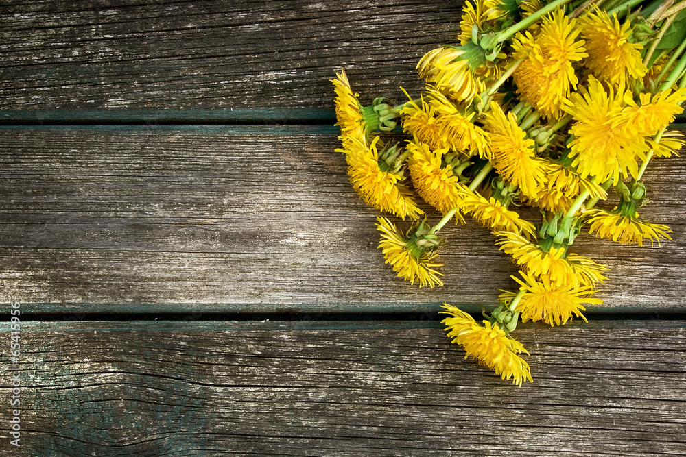 Dandelions on wooden background