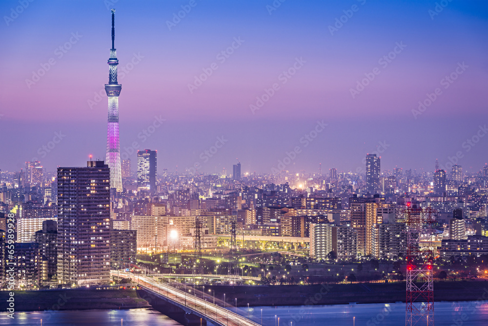 Tokyo, Japan Skyline at Tokyo Skytree