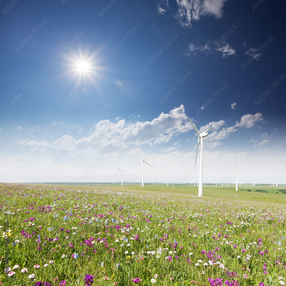 windmills for electric power production