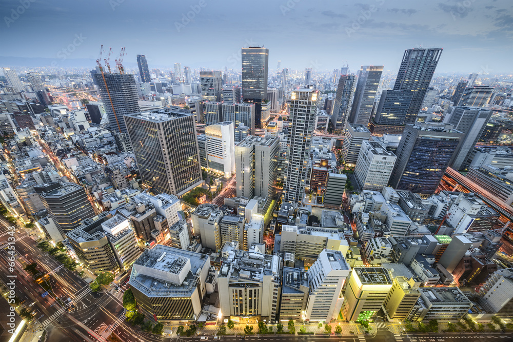 日本大阪城市景观