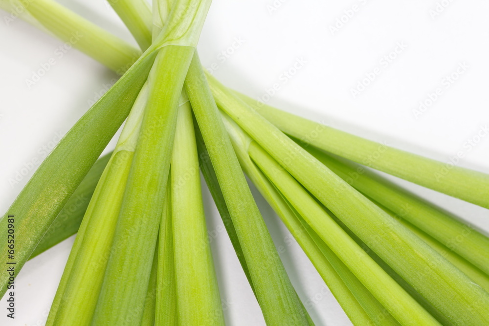 fresh green leek