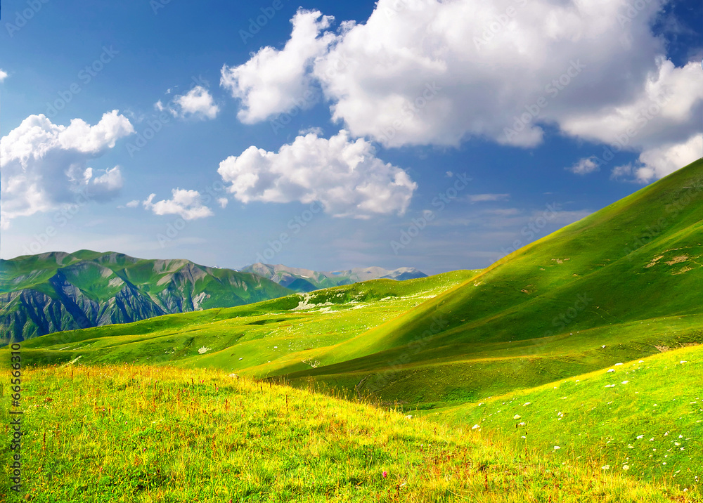 田野与云朵。美丽的夏日风景