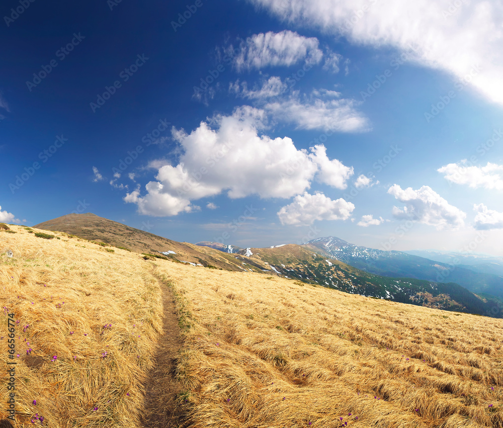 山间步道，春光旖旎