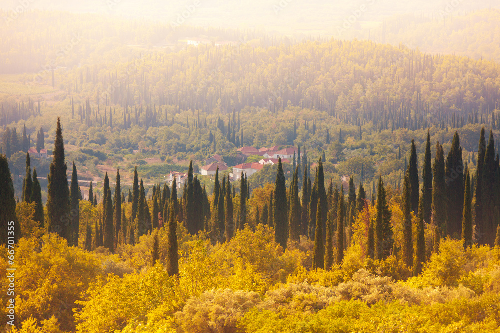 Croatian forest and fields