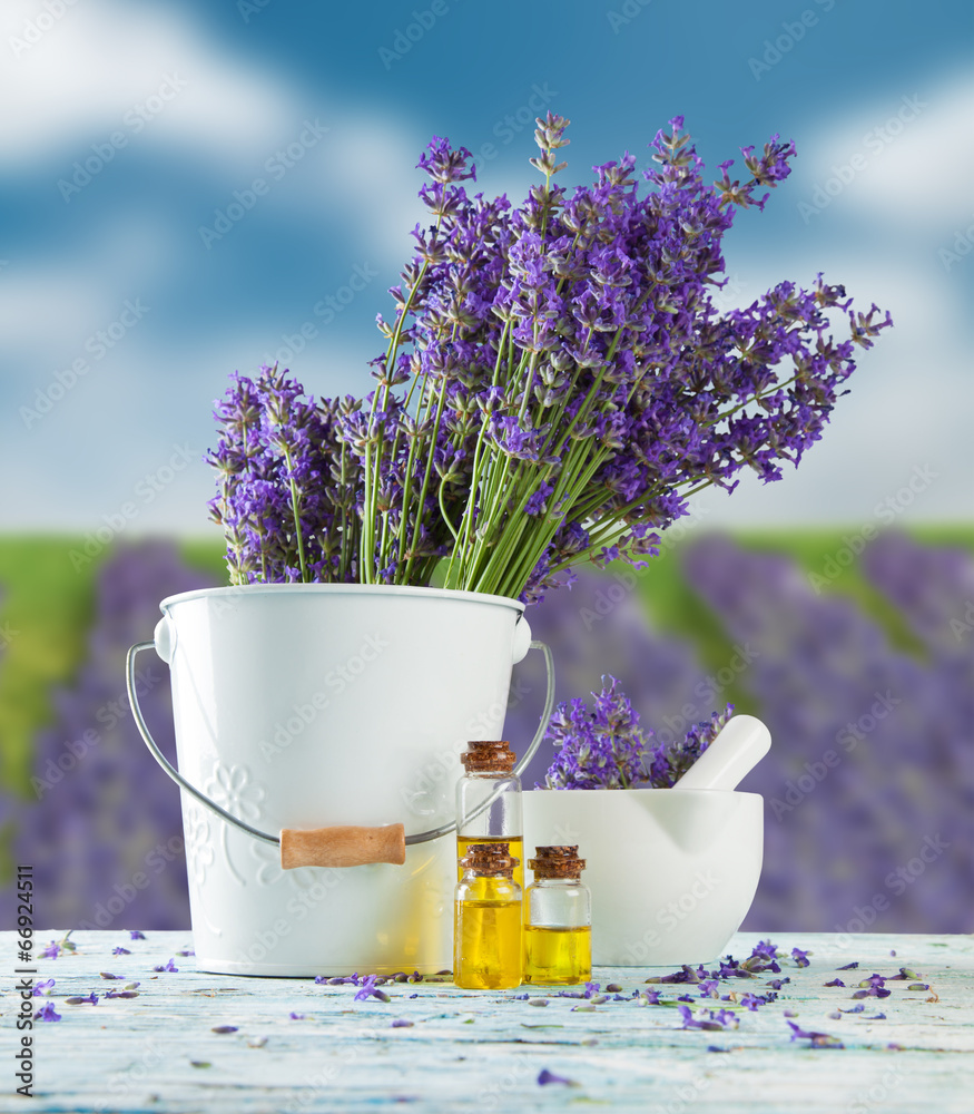 Lavender still life with blur field on background