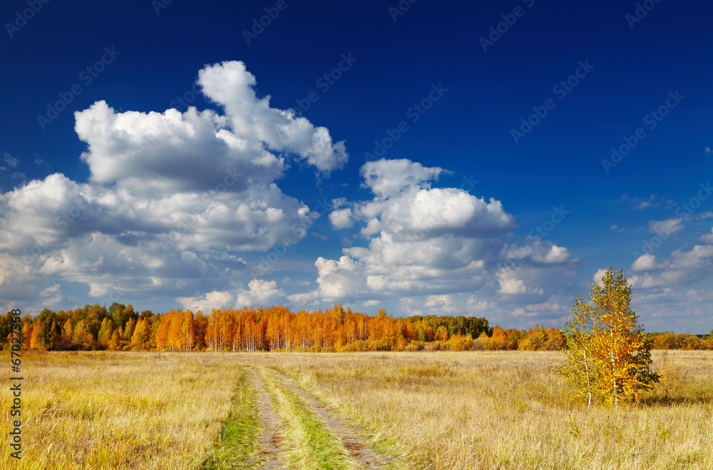 Autumn landscape with forest and blue sky