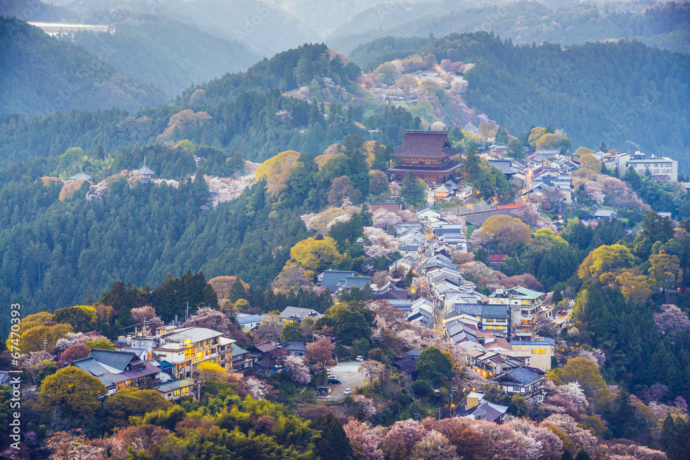 Yoshinoyama, Japan