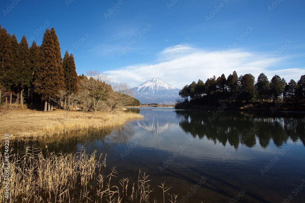 富士山和田湖