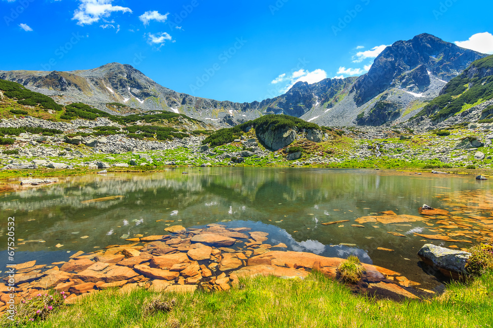 Beautiful glacier lake and colorful stones,Retezat,Romania