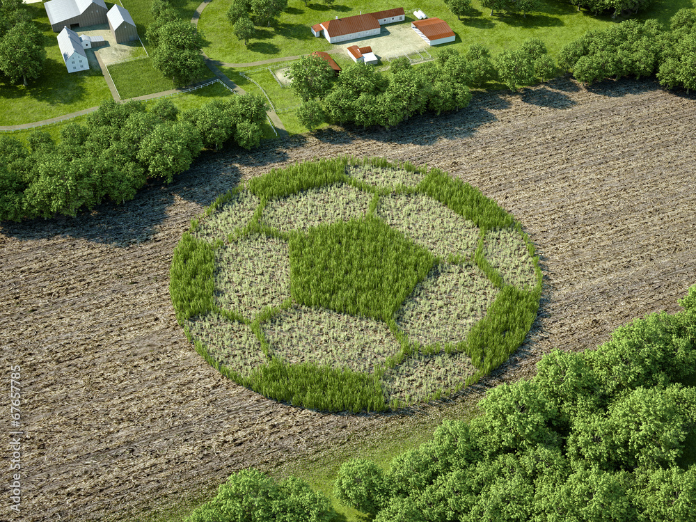 Feld mit Fussball