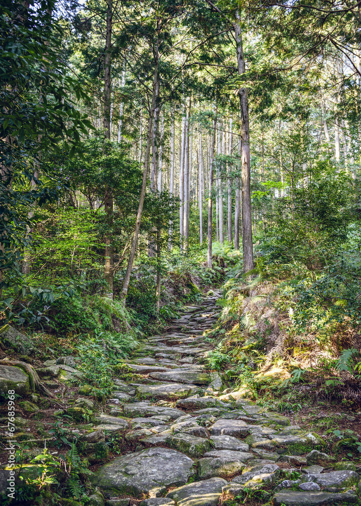 日本熊野松本山口