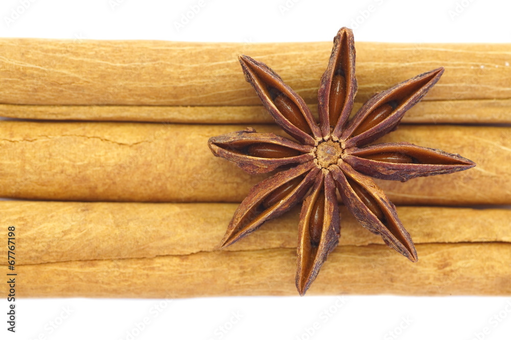 anise and cinnamon isolated on a white