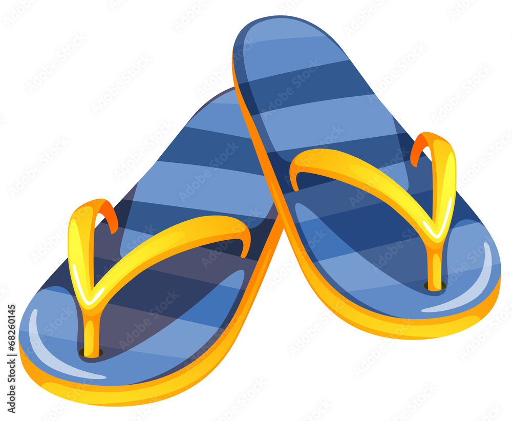 A pair of blue sandals