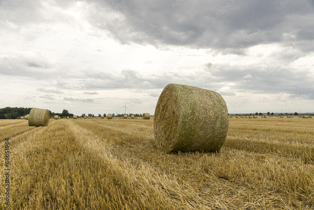 Strohballen auf gemähtem Acker