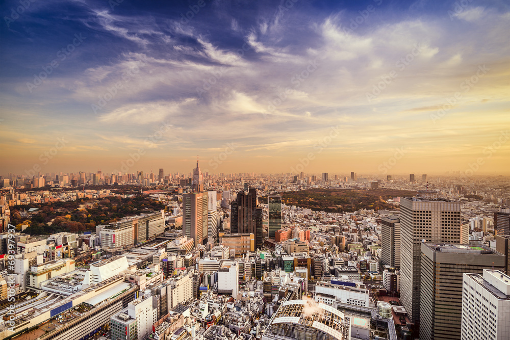 日本东京新宿城市天际线