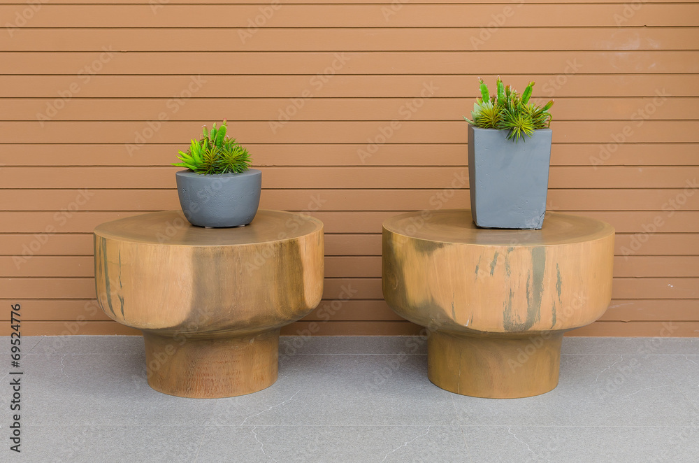 Plants in modern grey pot on round wood table