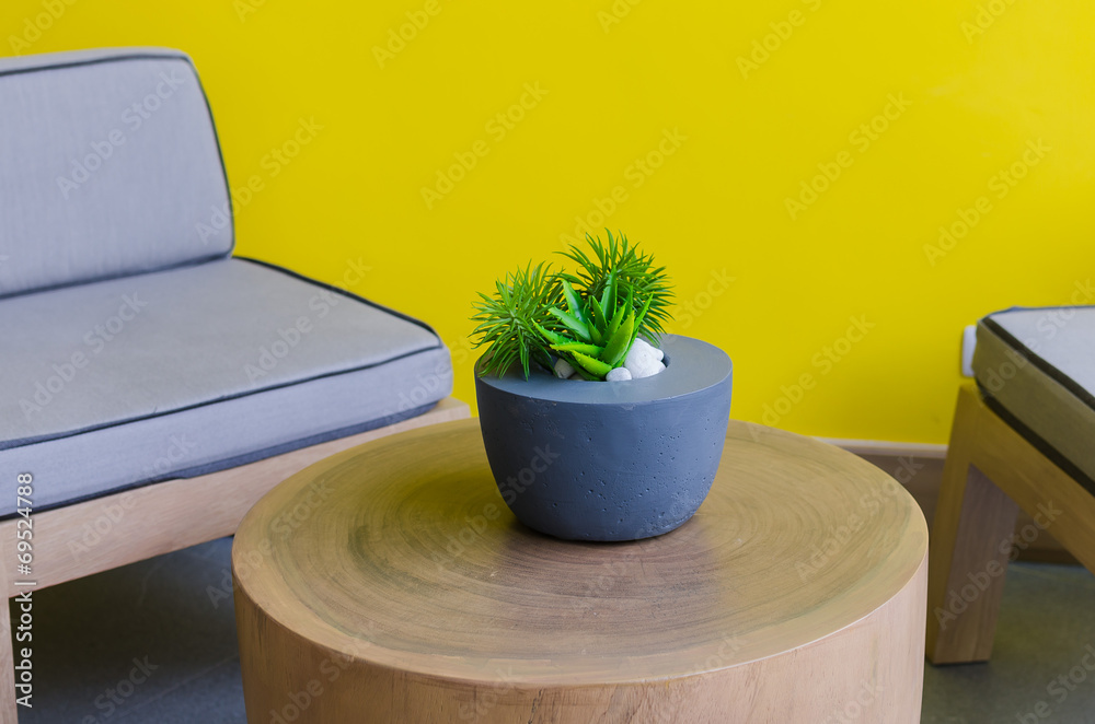 plants in modern pot on wooden table