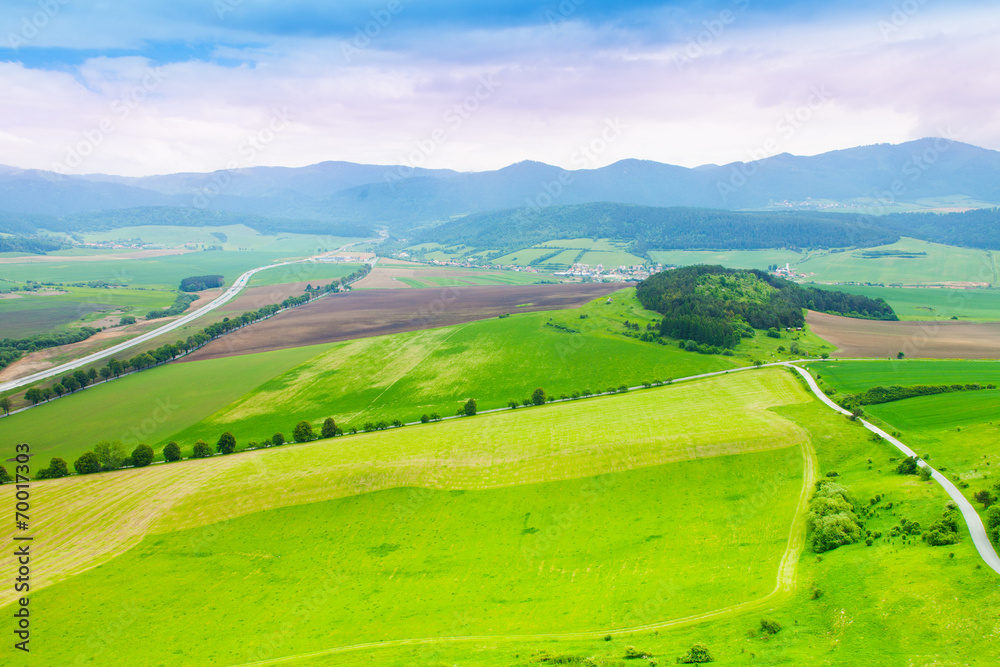 麦田全景