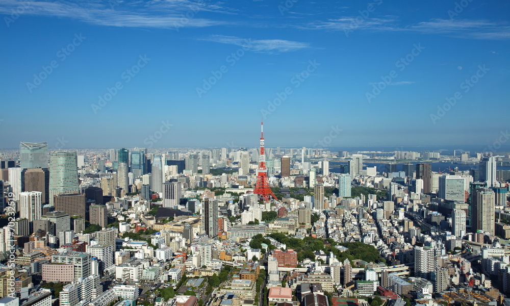 东京城和东京塔景观