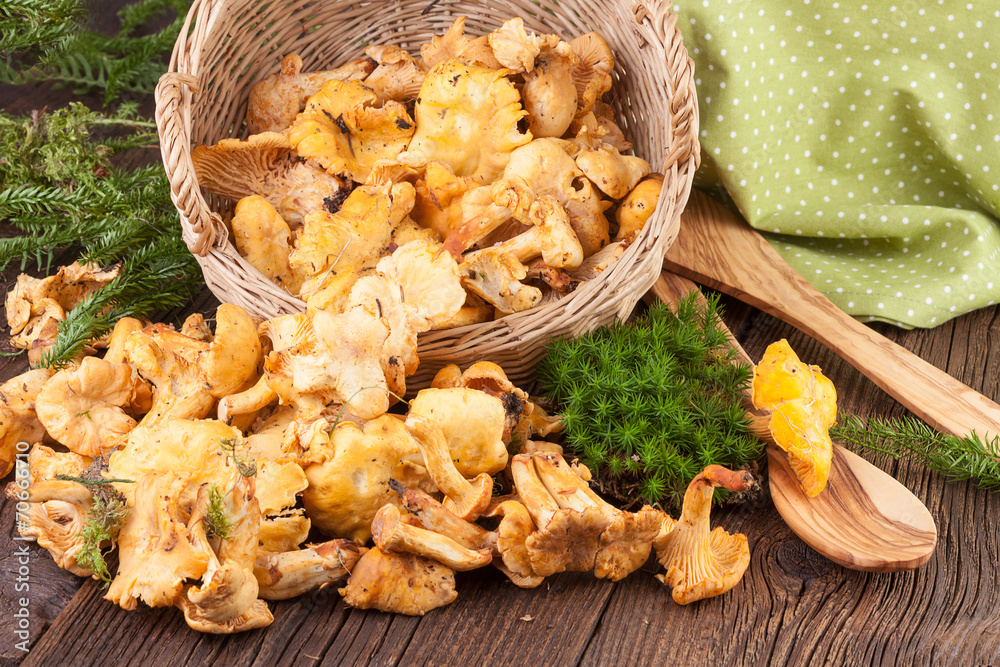 木制背景的Chanterelles Mushrooms