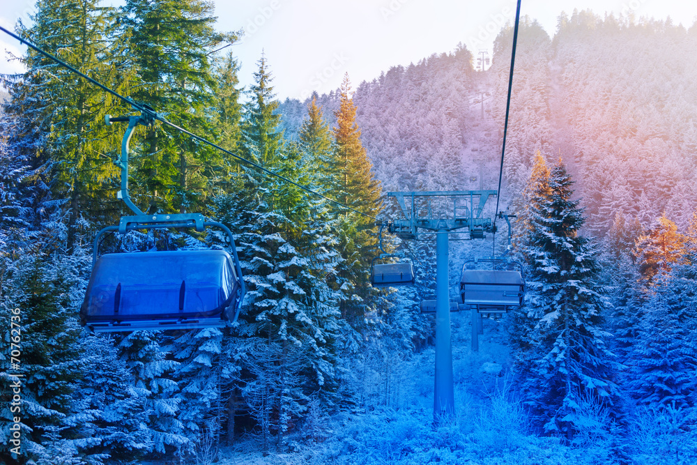 View of cabins in fir forest, Bansko, Bulgaria