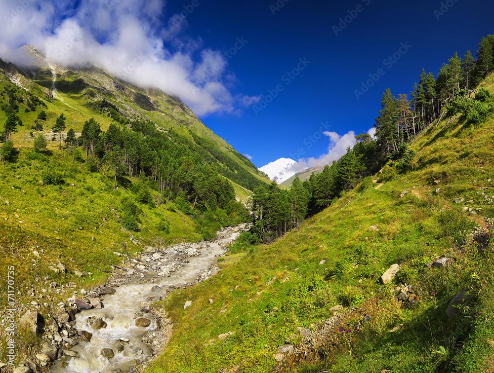 山谷中的河流。美丽的自然景观