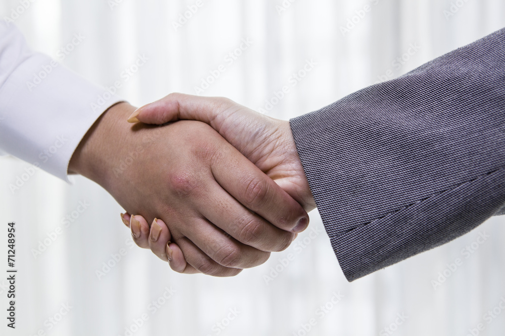 Businessman greeting with handshake