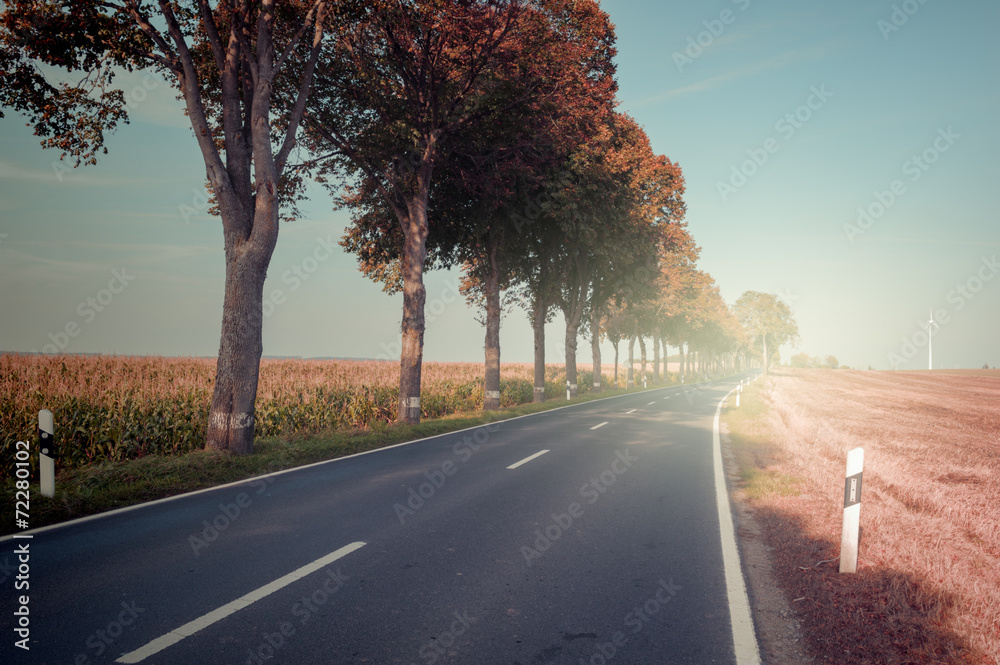 乡村公路秋景