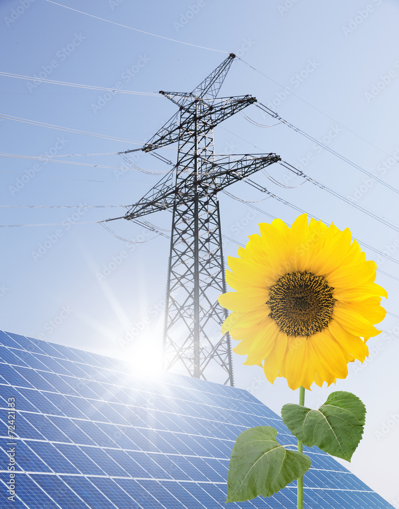 Strommast, Solaranlage und Sonnenblume