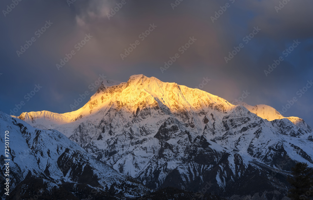 清晨的高山。美丽的自然景观