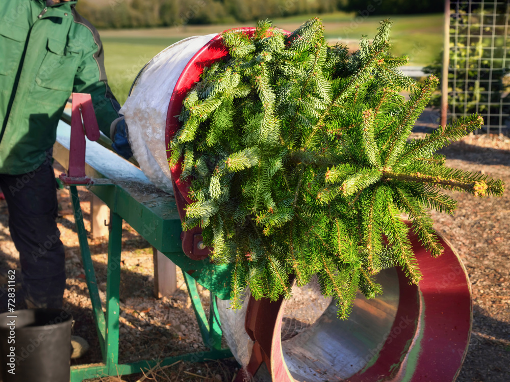 Christbaum Verkauf