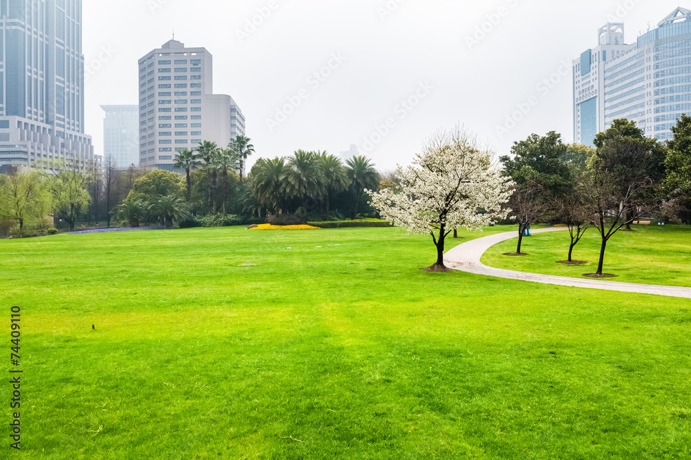 city green lawn