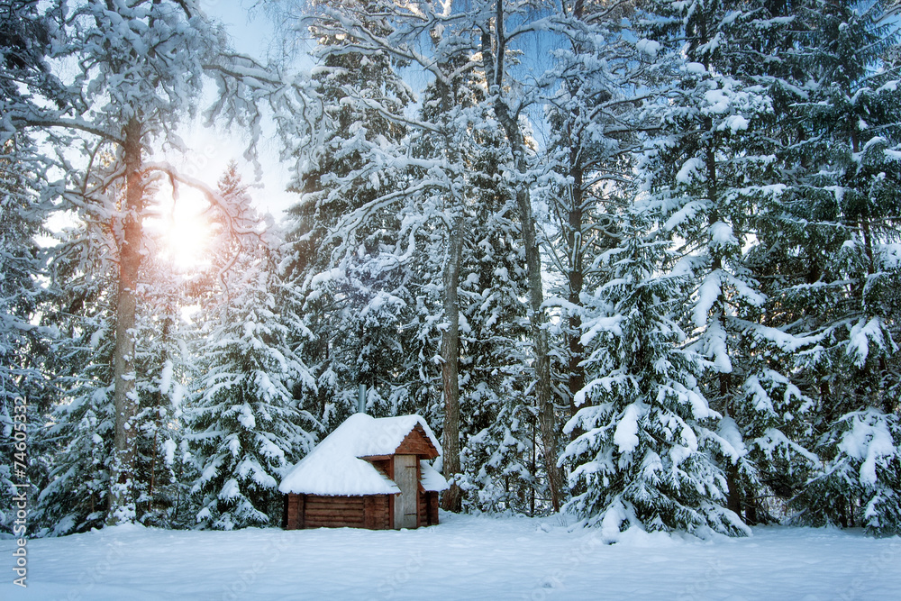 雪林小屋