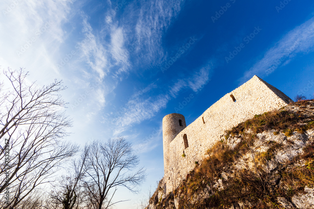 Smoleń Castle