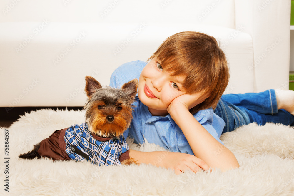 Yorkshire Terrier in pullover with boy on carpet