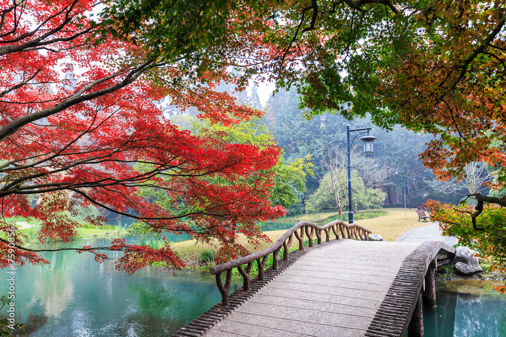 beautiful park in autumn