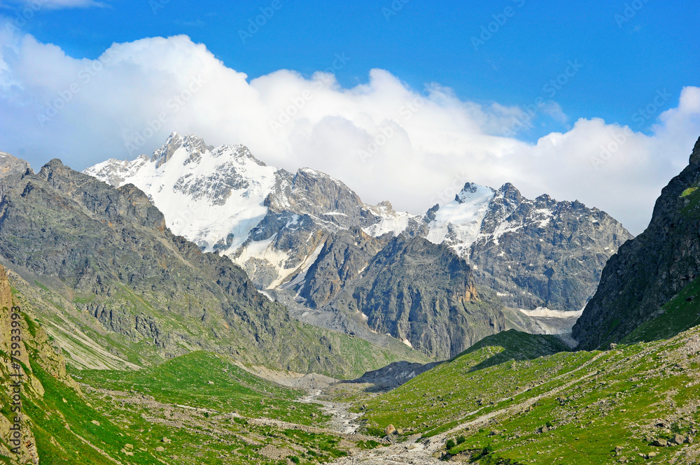 山水树木与河流