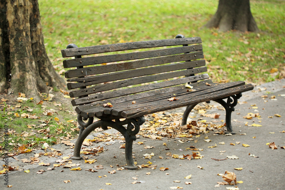 Park Bench in the Morning Light