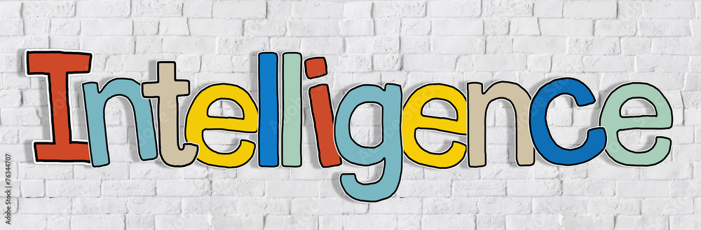 Intelligence Brick wall Single Word Text Background Concept