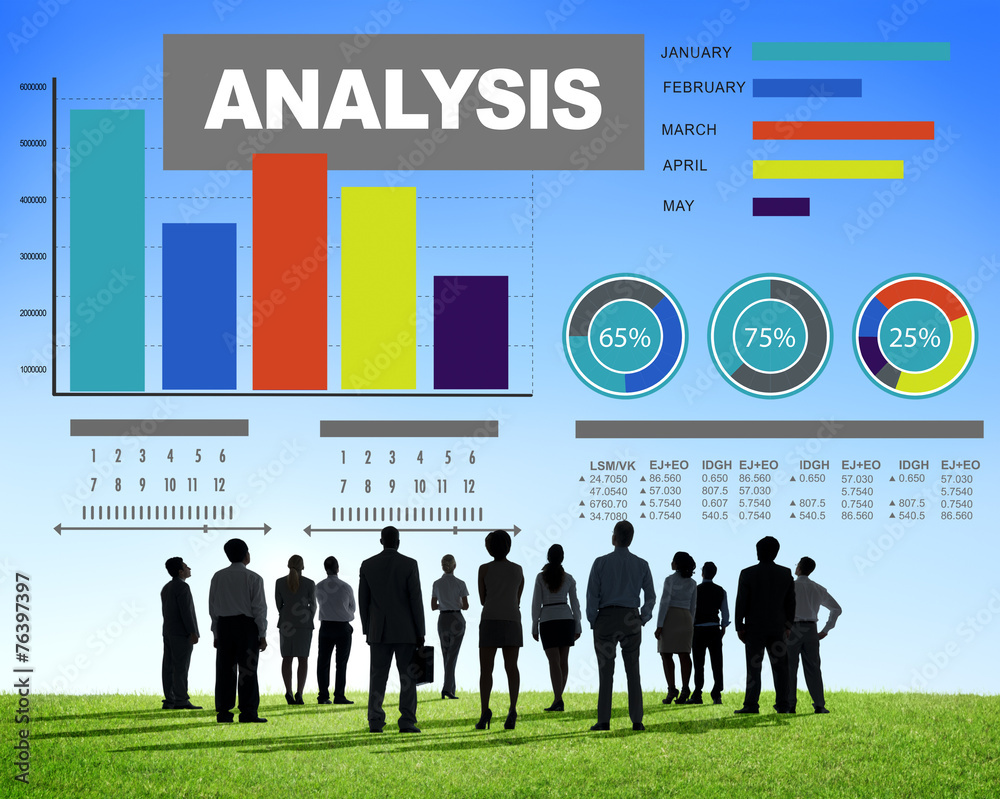分析分析信息条形图数据统计概念