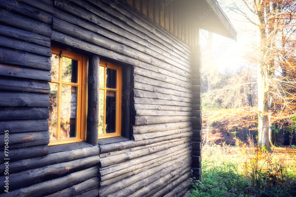 Wooden cabin in autumn forest