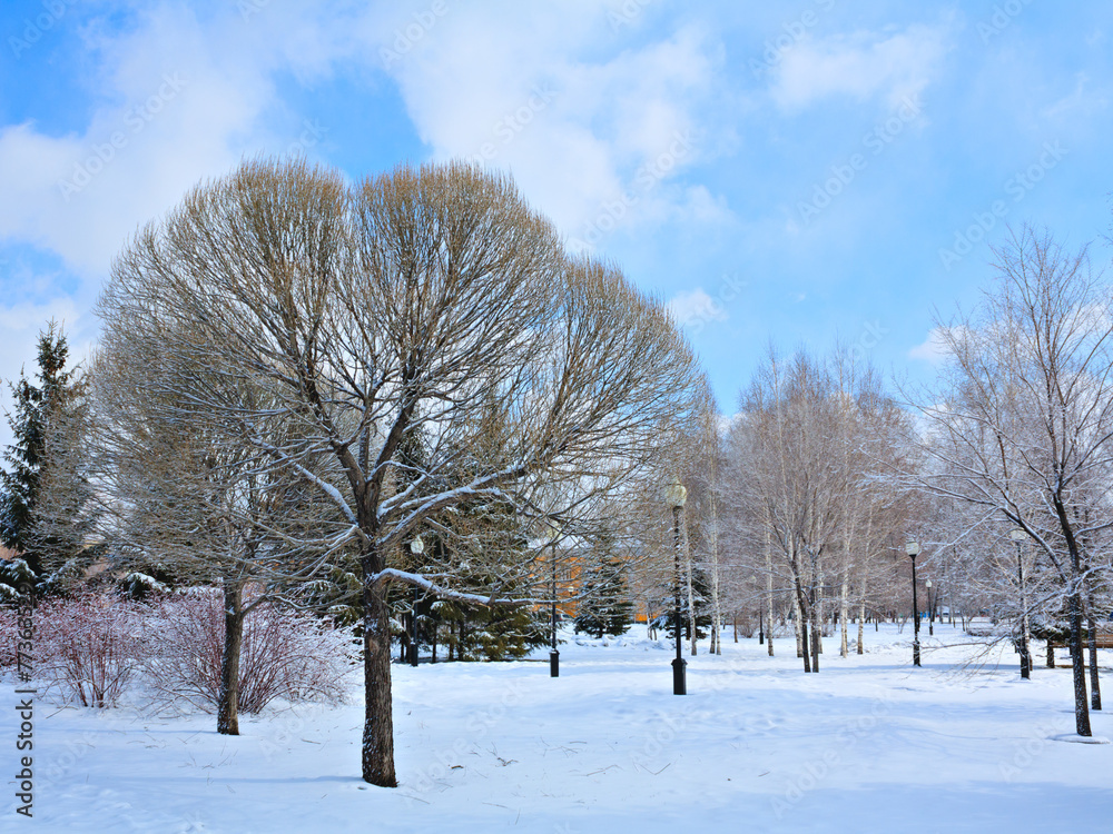 雪地里的冬季公园