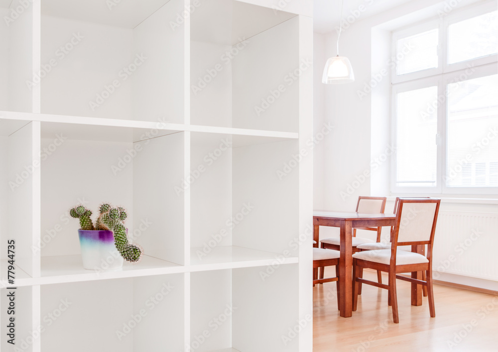 House interior white kitchen photo with cactus pot