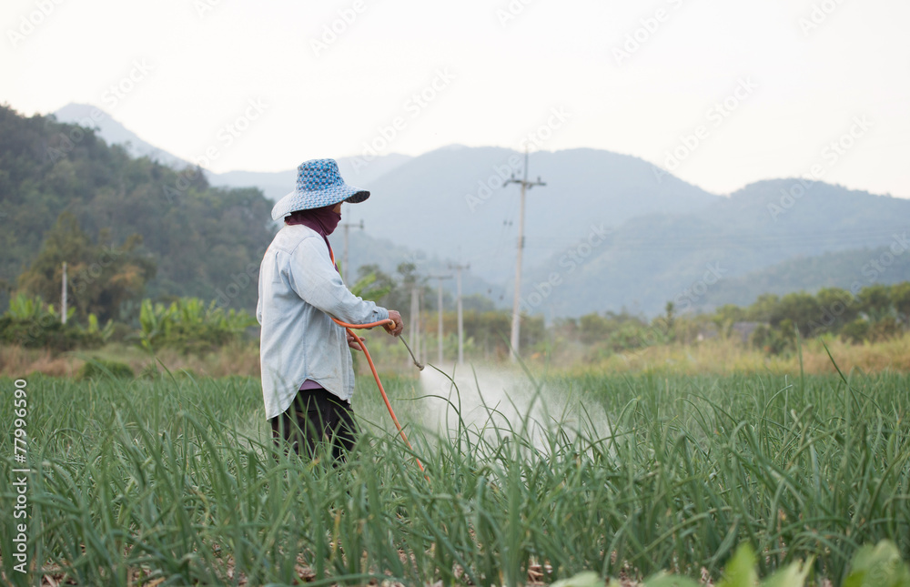 农民喷洒农药