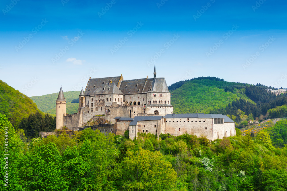 Vianden Luxembourg山脉和森林