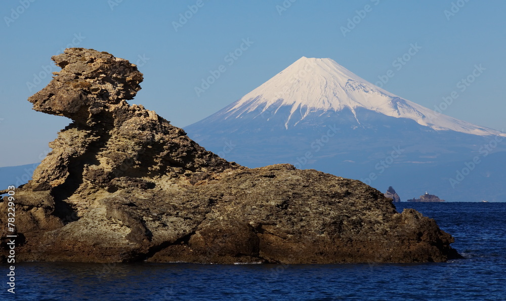 日本静冈县伊豆市的富士山和大海