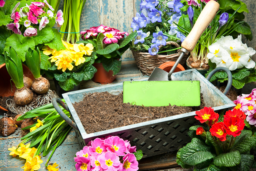 Frühling, Blumen, Gartenarbeit