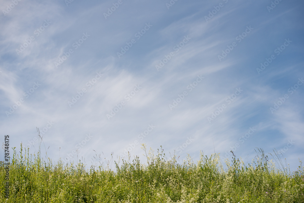 Blauer Himmel mit Grüner Wiese