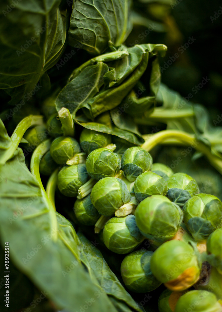 Brussel Sprouts