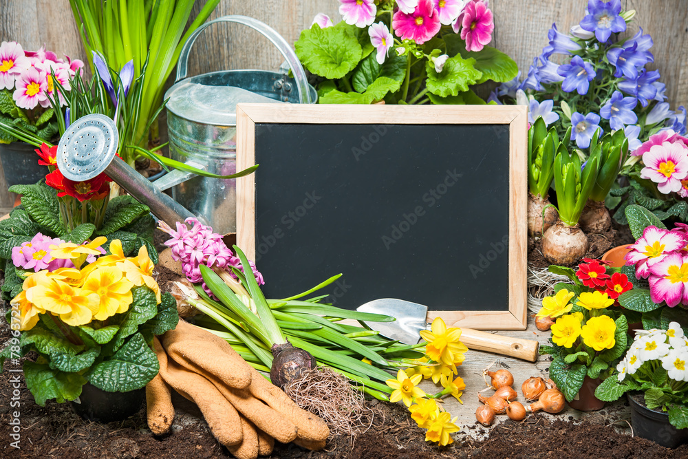 Frühling, Blumen, Gartenarbeit